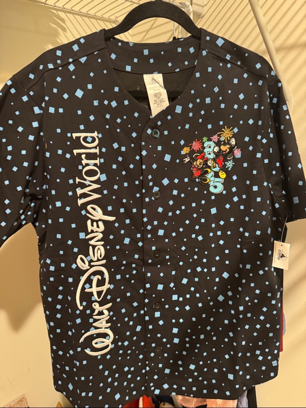Disney Parks 2025 Mickey & Friends Baseball Jersey Shirt Black Medium